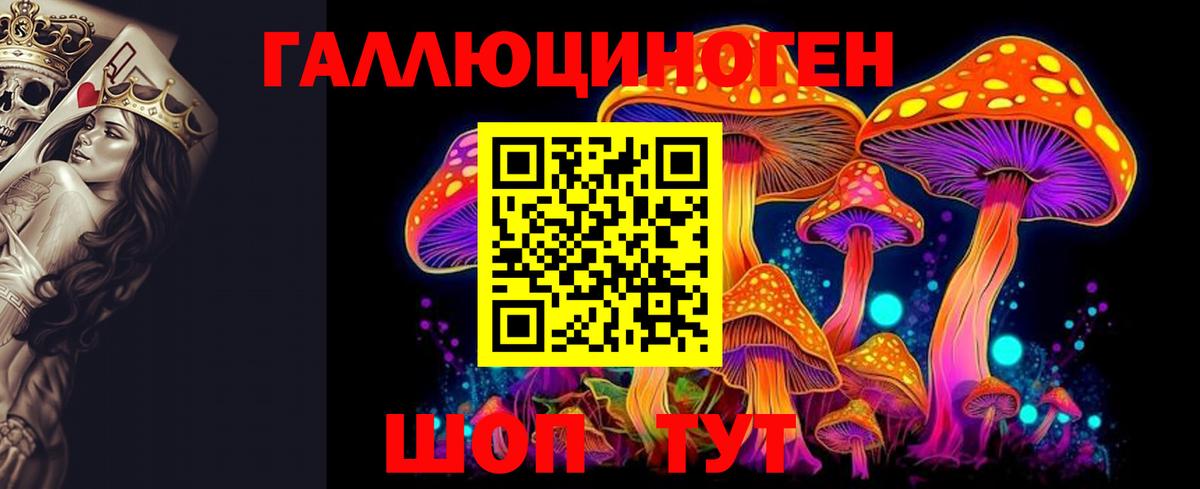 Псилоцибиновые грибы Psilocybine cubensis Екатеринбург