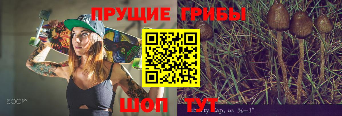 Екатеринбург  Галлюциногенные грибы MAGIC MUSHROOMS  Вход с VPN 